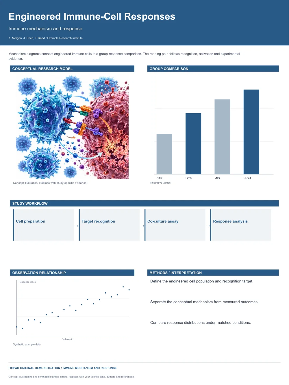 Editable scientific research poster template, Engineered Immune-Cell Responses, Immune mechanism and response, with method figures, experimental results and conclusions