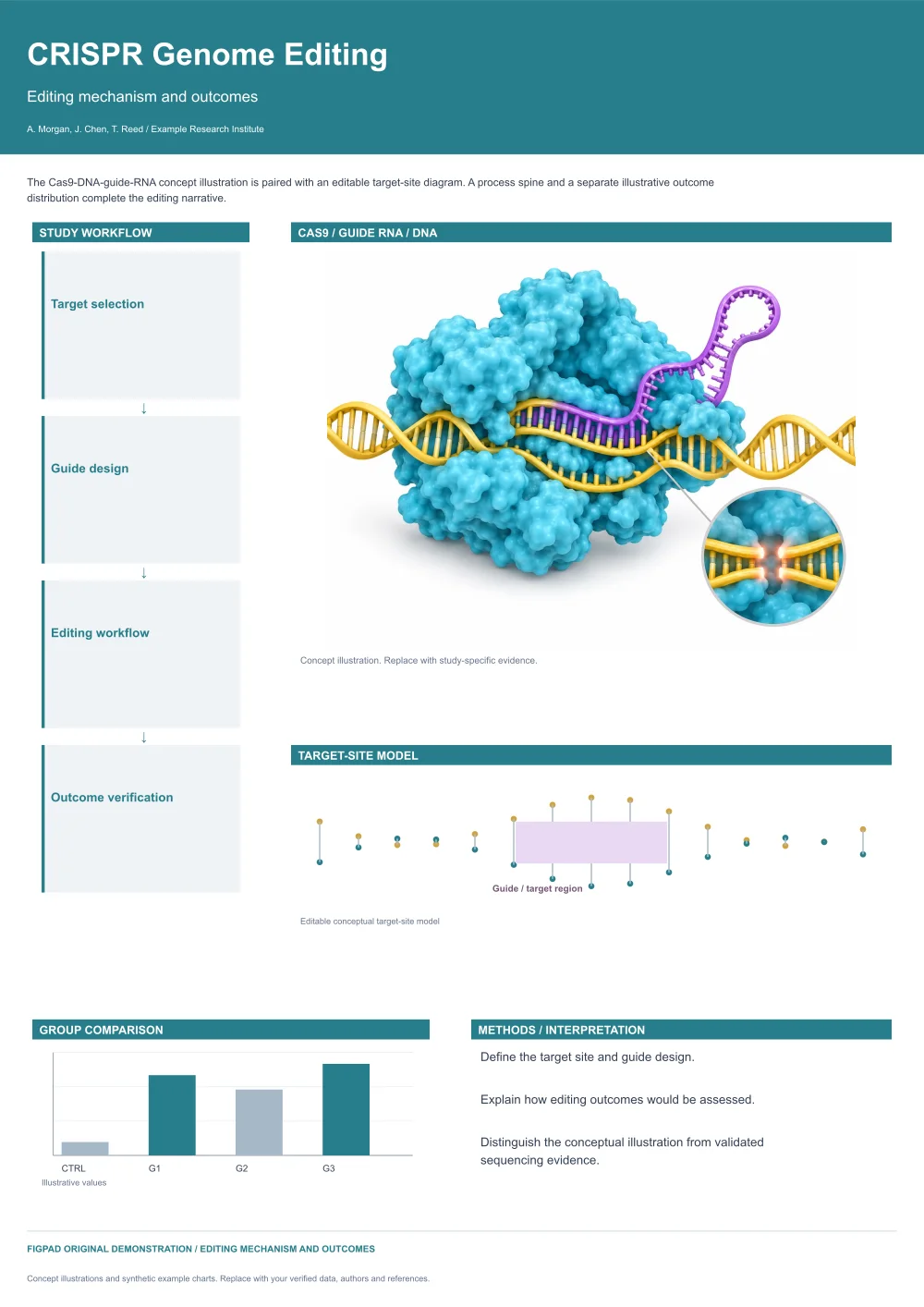 Editable scientific research poster template, CRISPR Genome Editing, Editing mechanism and outcomes, with method figures, experimental results and conclusions
