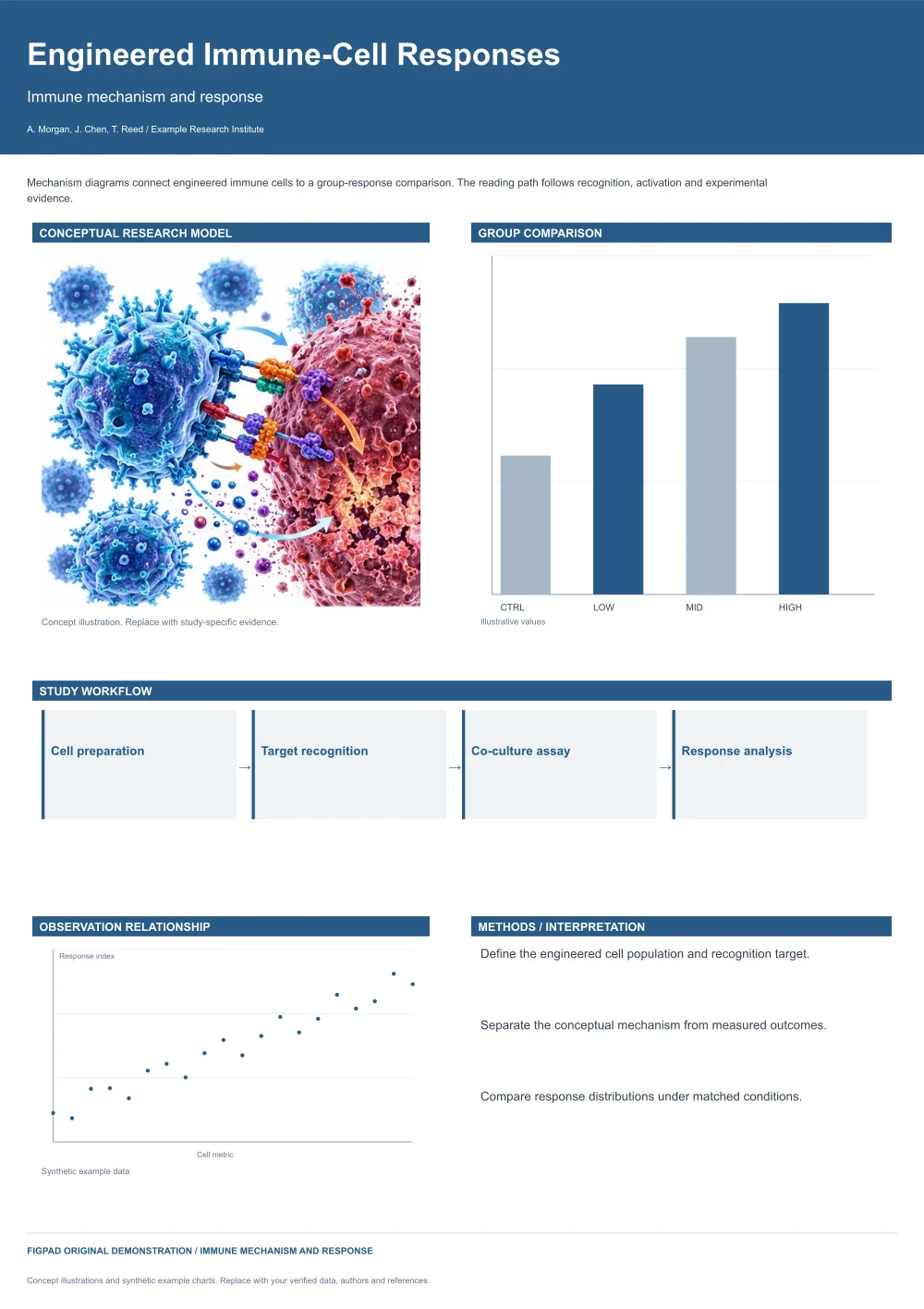 Editable scientific research poster template, Engineered Immune-Cell Responses, Immune mechanism and response, with method figures, experimental results and conclusions
